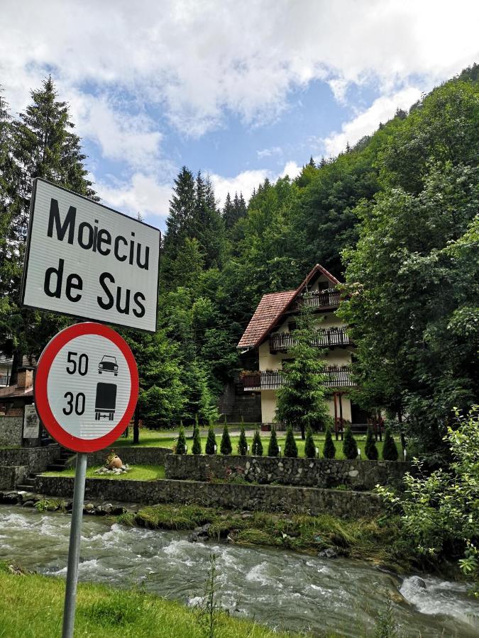 Raza Soarelui Hotel Moeciu De Sus Eksteriør billede